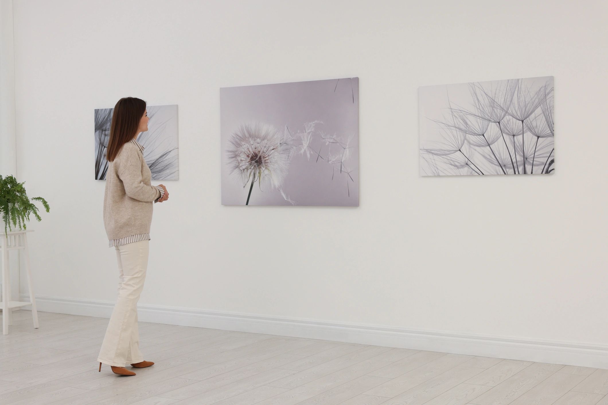 artistic photography gallery